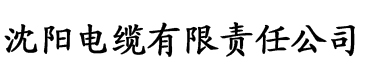 91香蕉视频香蕉视频app电缆厂logo